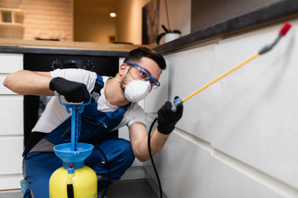 Best Emergency Pest Control  in Candler Mcafee, GA