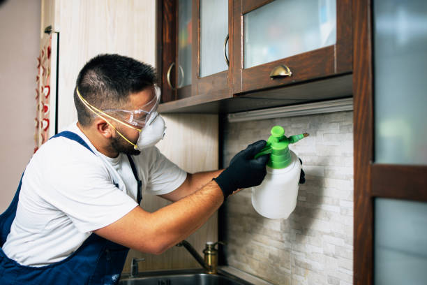 Best Best Pest Control Companies  in Candler Mcafee, GA