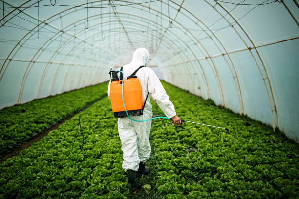 Reliable Candler Mcafee, GA Pest Control Solutions