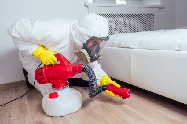 Best Exterminator Services  in Candler Mcafee, GA