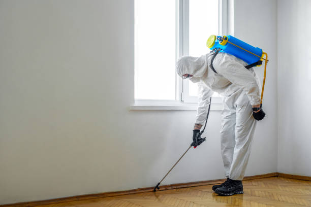  Candler Mcafee, GA Pest Control Pros