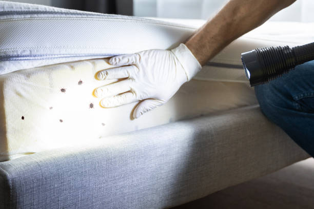 Best Pest Inspection Near Me  in Candler Mcafee, GA