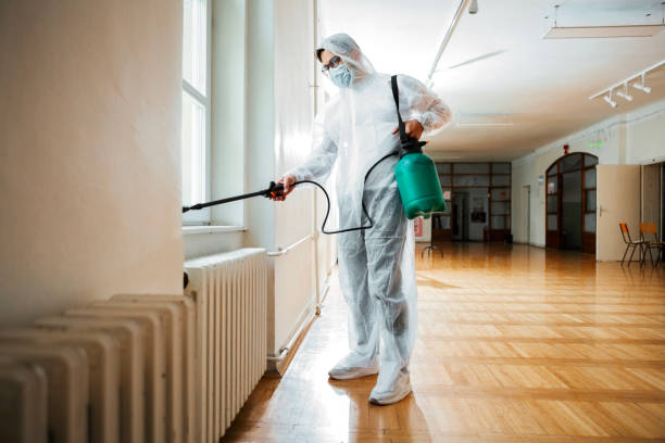 Best Flea Control Services  in Candler Mcafee, GA
