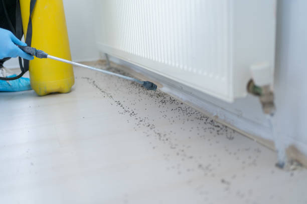 Best Commercial Pest Control Services  in Candler Mcafee, GA