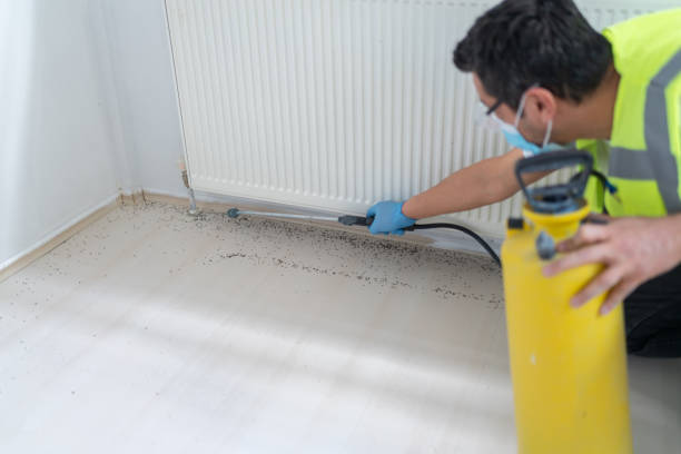 Best Pest Removal Services  in Candler Mcafee, GA