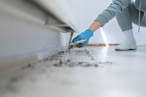 Best Residential Pest Control  in Candler Mcafee, GA